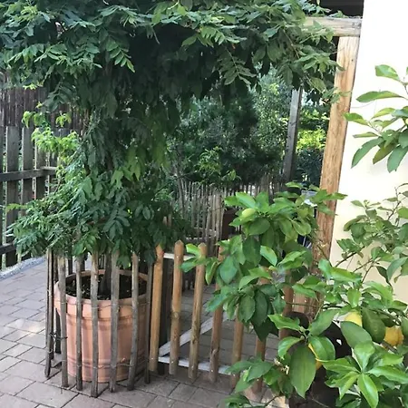 Lechraum In Appartement Waal