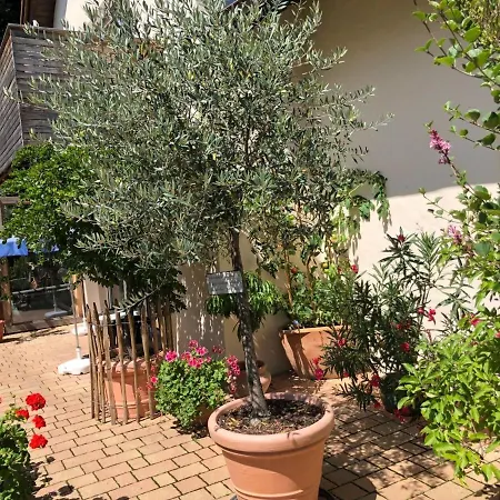 Lechraum In Waal